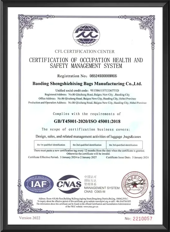 ISO 45001 occupational health and safety certificate - Senszx